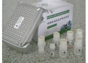 ᡢAͪzyԇעԼg(sh)ָ(do)ԭt